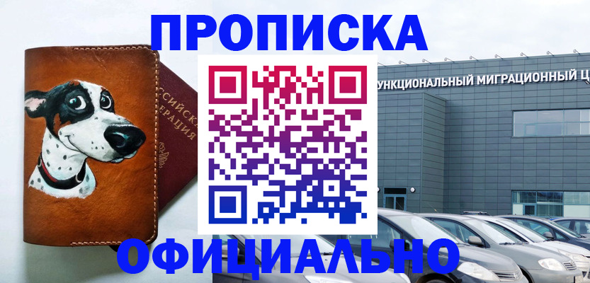 временная прописка в Новосибирской области